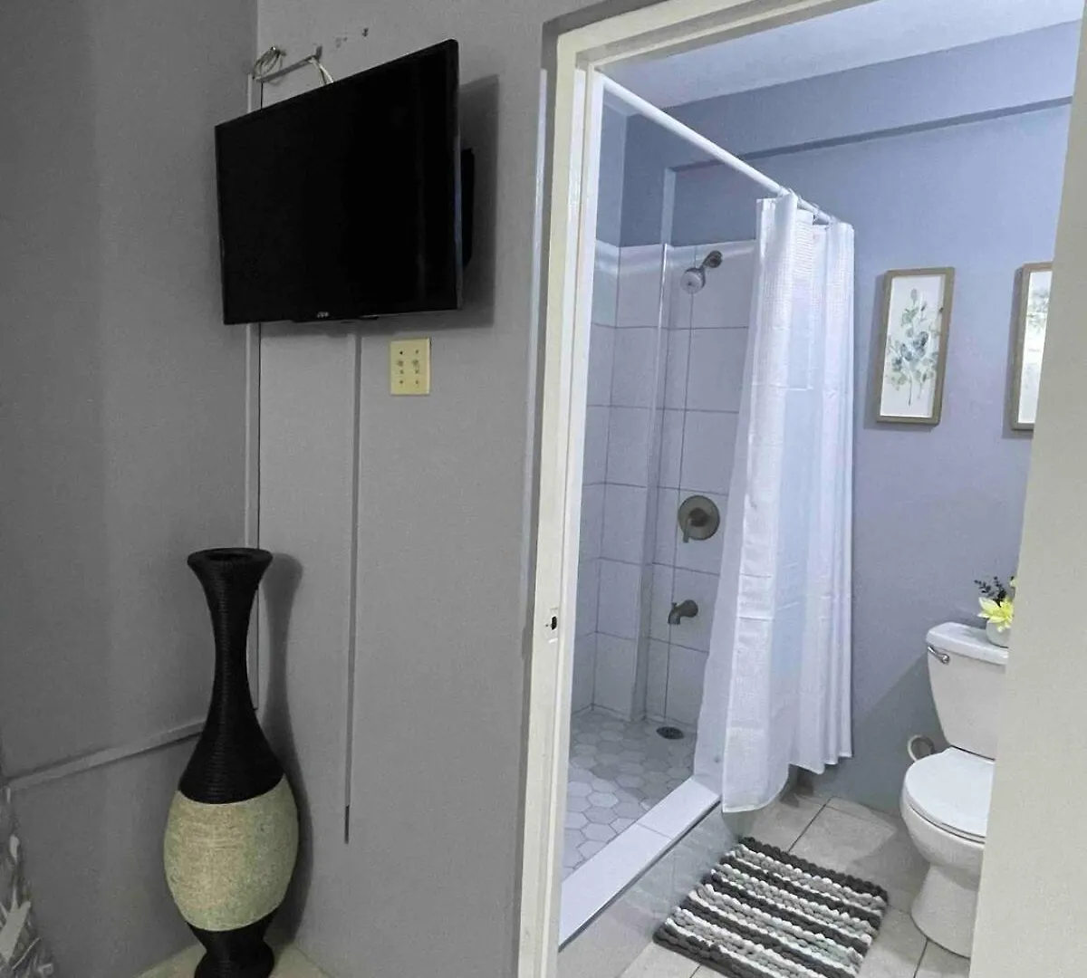 One Bedroom City Apartment Fully Ac With 24Hrs Security Kingston Giamaica