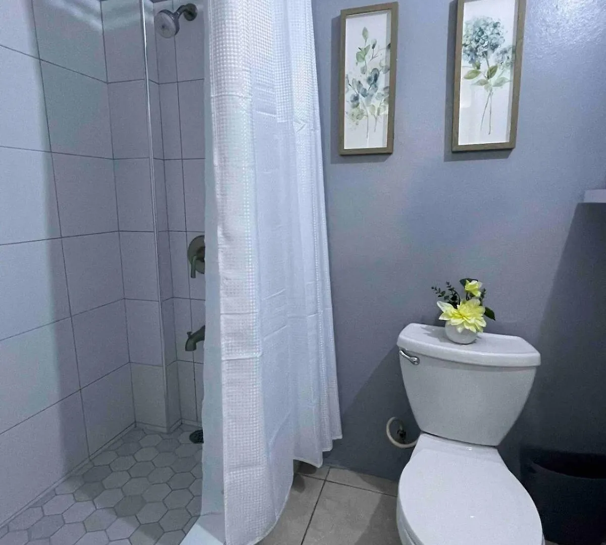 One Bedroom City Apartment Fully Ac With 24Hrs Security Kingston Giamaica